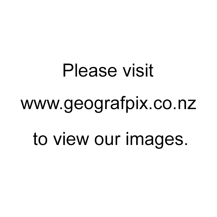 Waikato Region