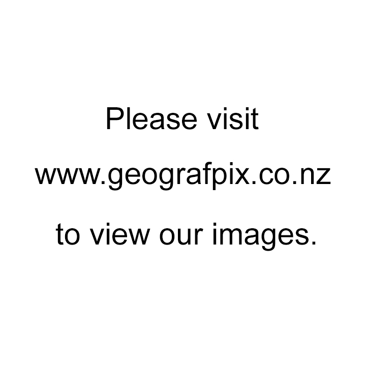 Landscapes - display this album Landscapes
